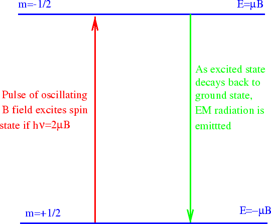 \epsfig{file=figs/nmr.eps,height=2.5in}