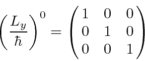 \begin{displaymath}\bgroup\color{black}\left({L_y\over\hbar}\right)^0=\left(\matrix{1&0&0\cr 0&1&0\cr 0&0&1}\right)\egroup\end{displaymath}