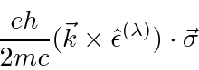 \begin{displaymath}\bgroup\color{black} {e\hbar\over 2mc} (\vec{k}\times\hat{\epsilon}^{(\lambda)})\cdot\vec{\sigma} \egroup\end{displaymath}