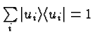 \bgroup\color{black}$\sum\limits_i\vert u_i\rangle\langle u_i\vert=1$\egroup