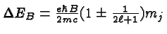 \bgroup\color{black}$\Delta E_B={e\hbar B\over 2mc}(1\pm {1\over 2\ell +1})m_j$\egroup