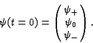 \begin{displaymath}\bgroup\color{black}\psi(t=0)=\pmatrix{\psi_+ \cr \psi_0\cr \psi_-}.\egroup\end{displaymath}