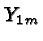 \bgroup\color{black}$Y_{1m}$\egroup