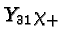 \bgroup\color{black}$Y_{31}\chi_+$\egroup