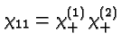 \bgroup\color{black}$\chi_{11}=\chi^{(1)}_+\chi^{(2)}_+$\egroup