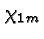 \bgroup\color{black}$\chi_{1m}$\egroup