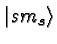 $\vert sm_s\rangle$