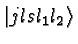 $\vert jlsl_1 l_2\rangle$