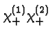 $\chi^{(1)}_+\chi^{(2)}_+$