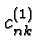 \bgroup\color{black}$c_{nk}^{(1)}$\egroup