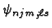 \bgroup\color{black}$\psi_{njm_j\ell s}$\egroup